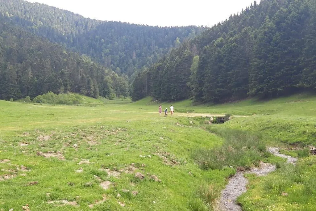 La Cabane du Cerf à Payolle Campan 0*,